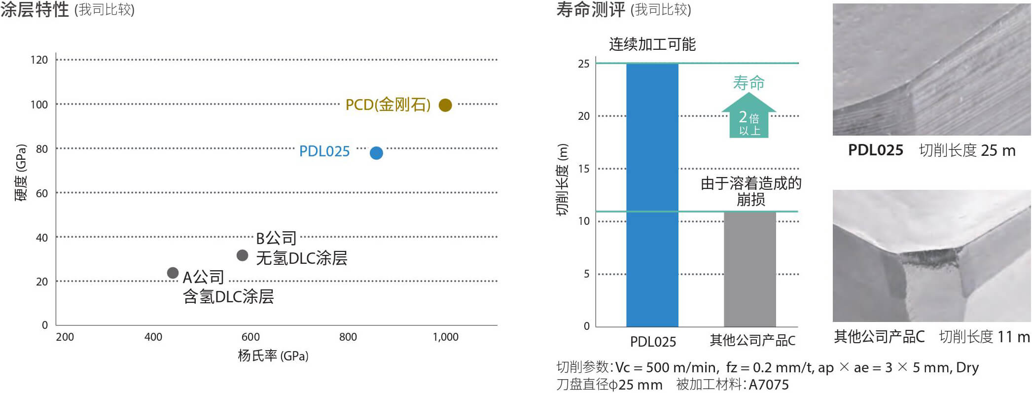 PDL025 02