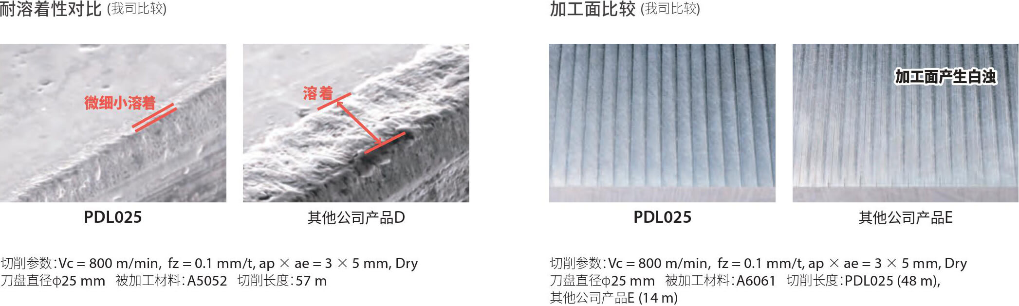 PDL025 07